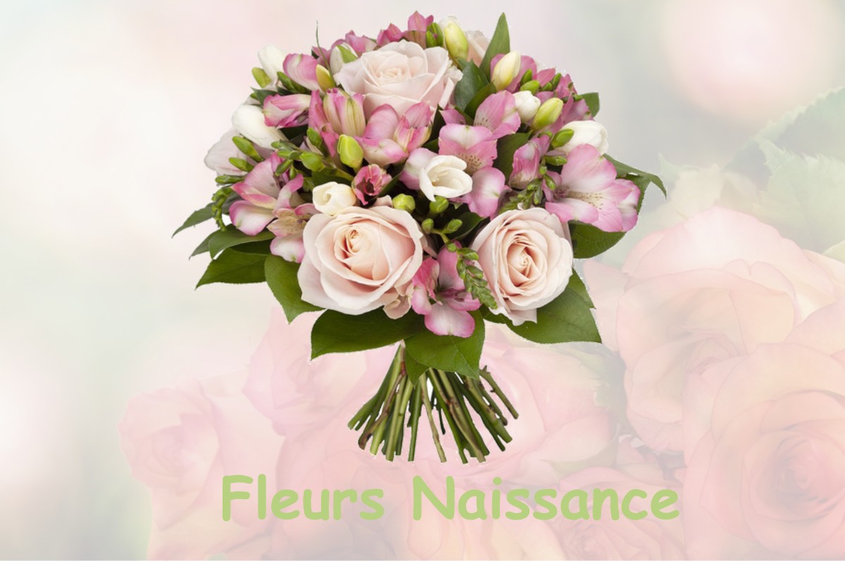 fleurs naissance LA-VILLE-AUX-BOIS-LES-DIZY