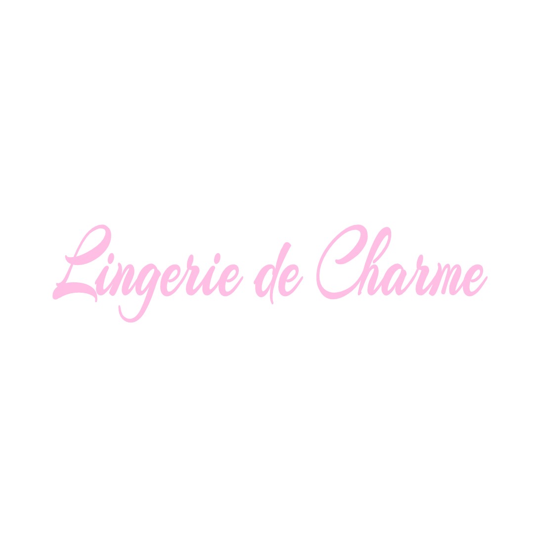 LINGERIE DE CHARME LA-VILLE-AUX-BOIS-LES-DIZY